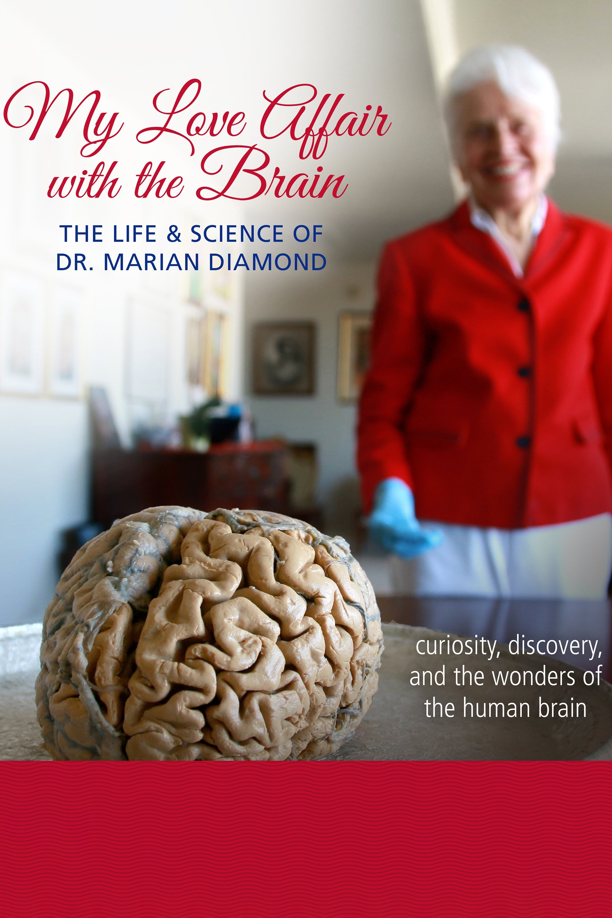 Постер My Love Affair with the Brain